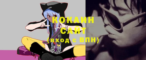 тгк Богородицк