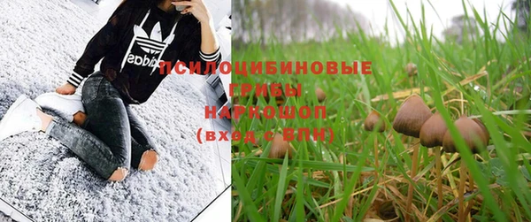 2c-b Богданович