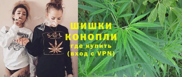 мдпв Бронницы