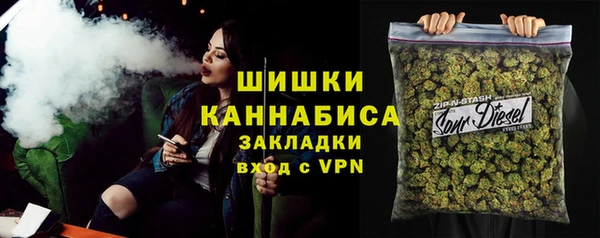 гашик Богородск