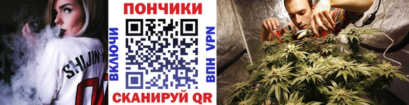 Бошки Шишки индика  Стерлитамак 